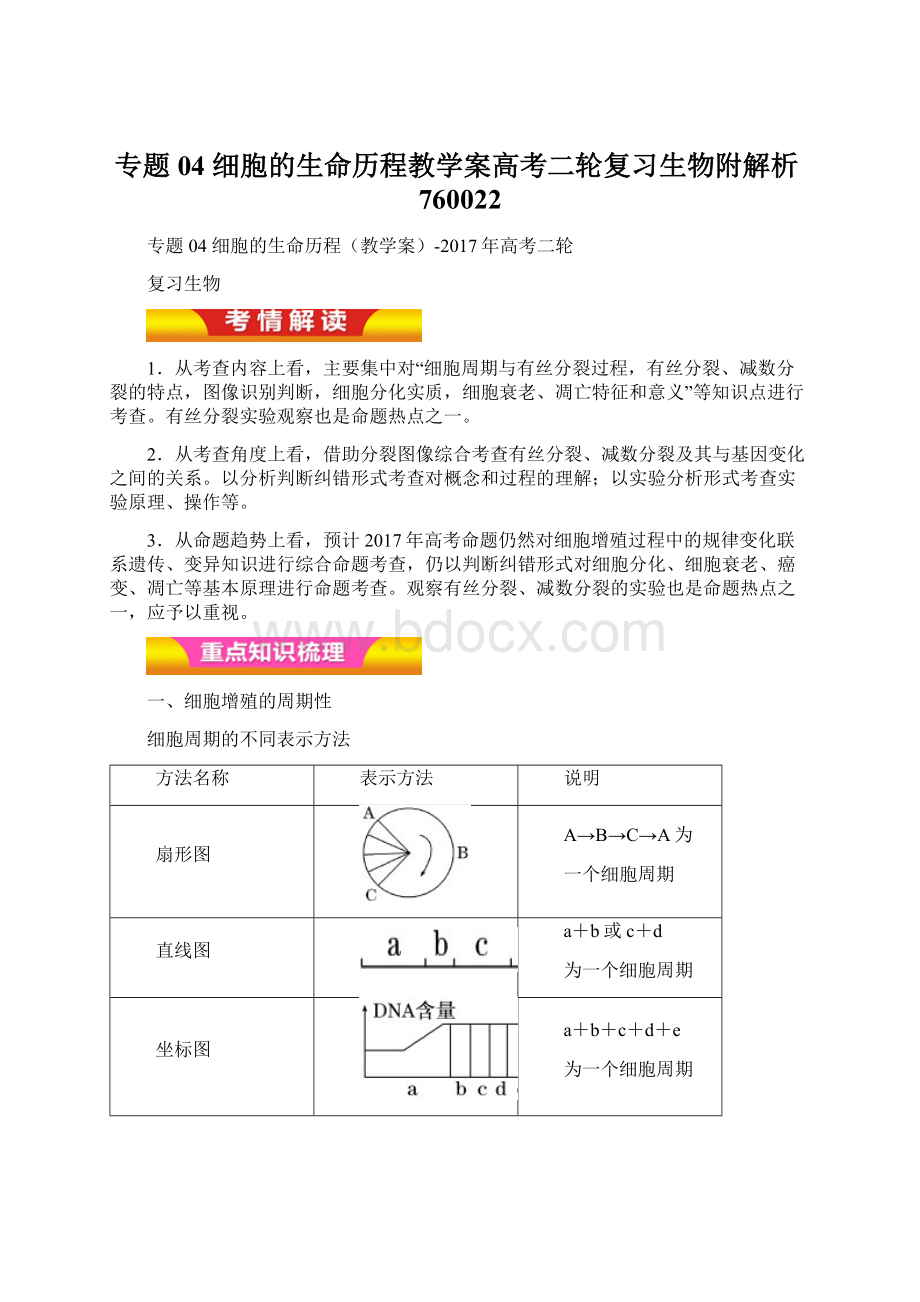 专题04 细胞的生命历程教学案高考二轮复习生物附解析760022Word下载.docx