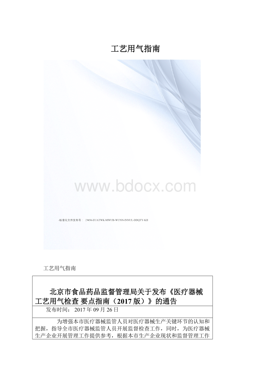 工艺用气指南Word下载.docx_第1页