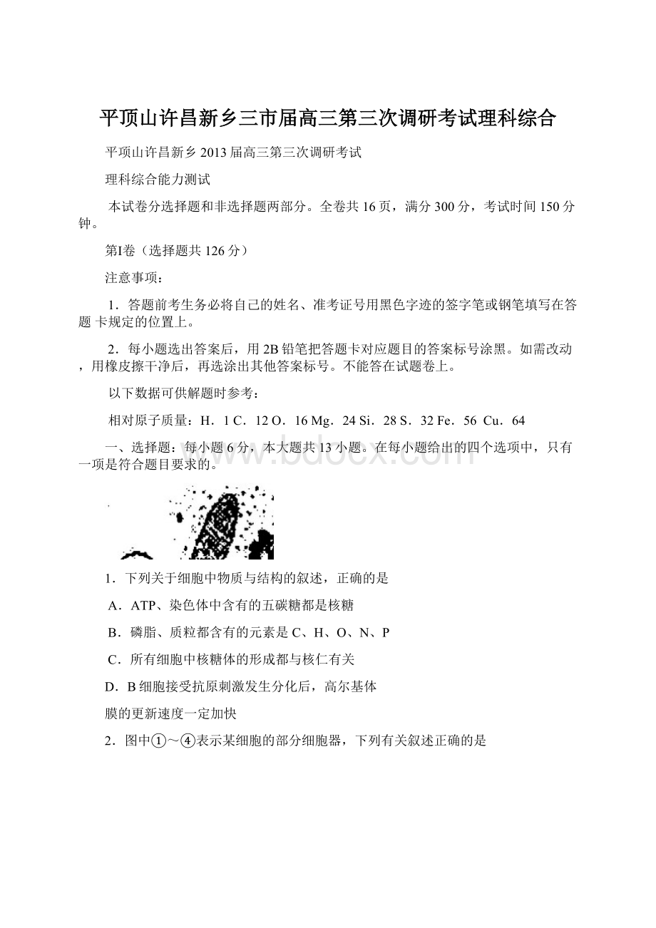 平顶山许昌新乡三市届高三第三次调研考试理科综合文档格式.docx