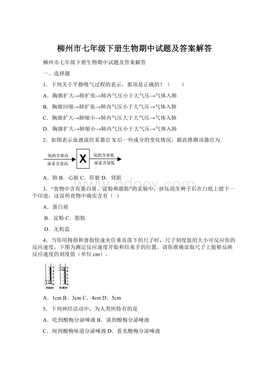 柳州市七年级下册生物期中试题及答案解答Word文件下载.docx