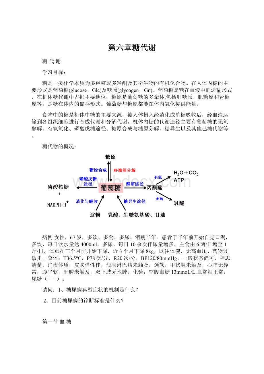 第六章糖代谢.docx