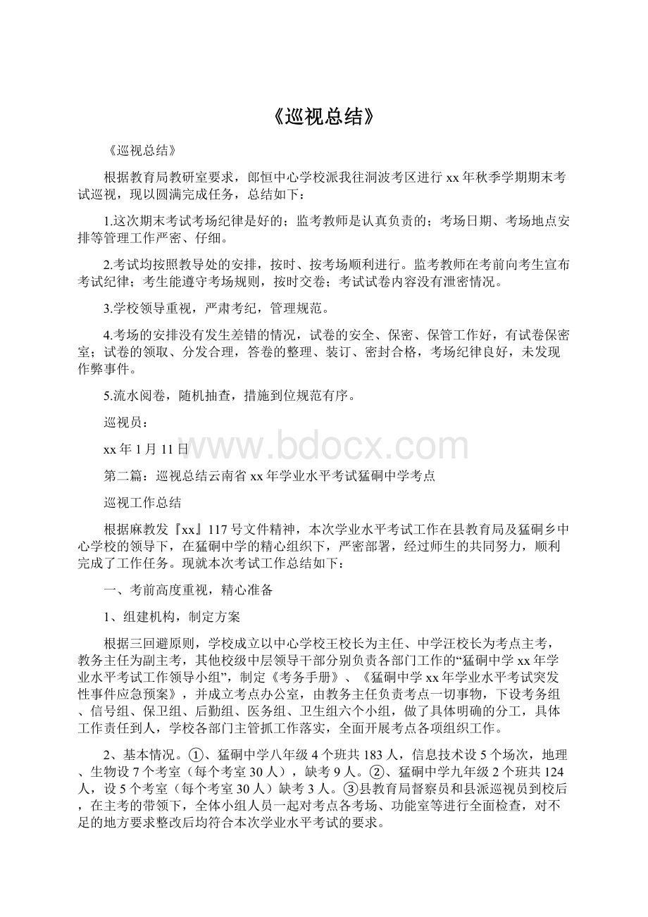 《巡视总结》文档格式.docx