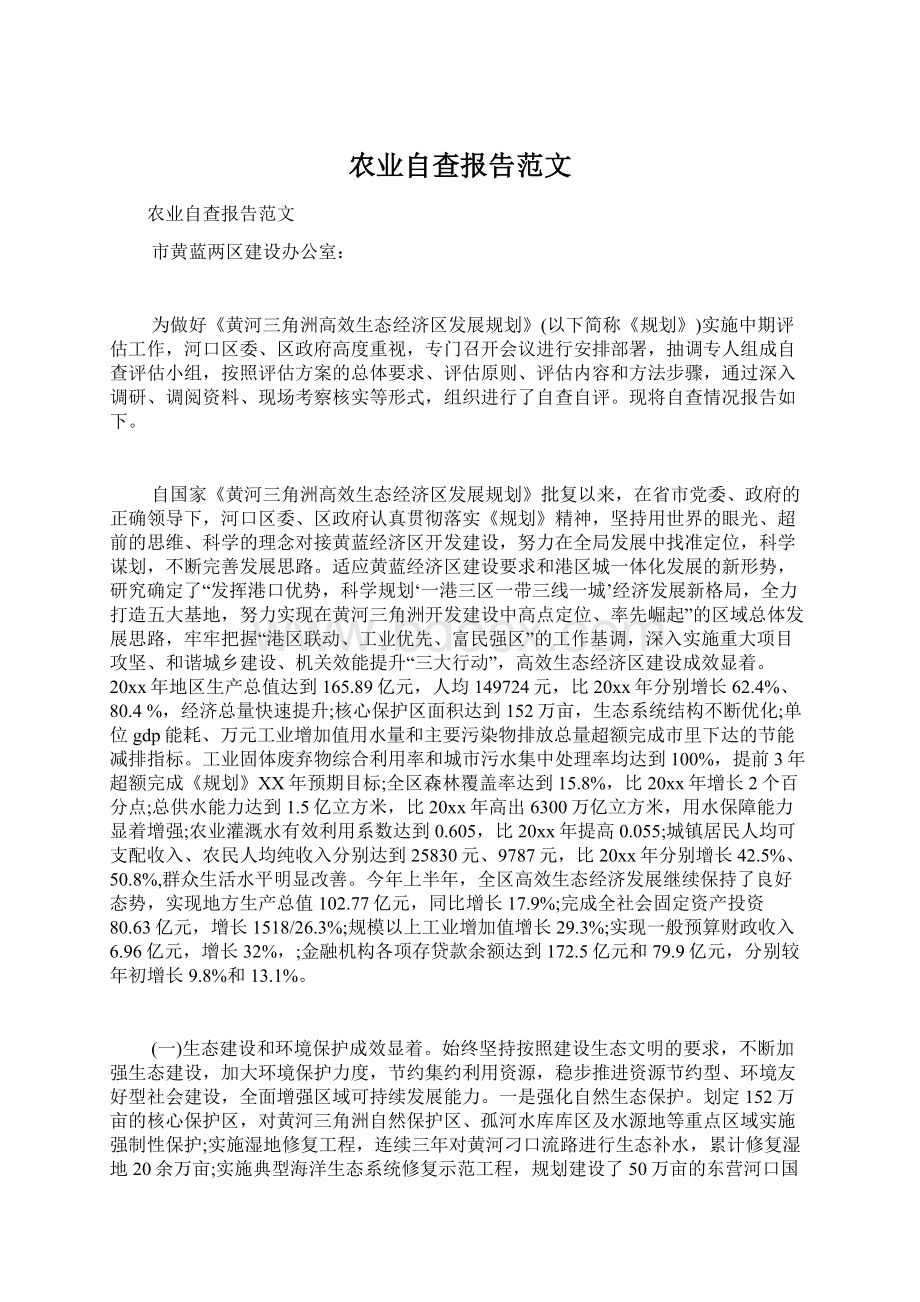 农业自查报告范文Word文档格式.docx