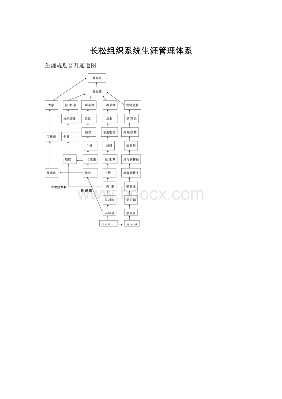 长松组织系统生涯管理体系Word格式.docx_第1页