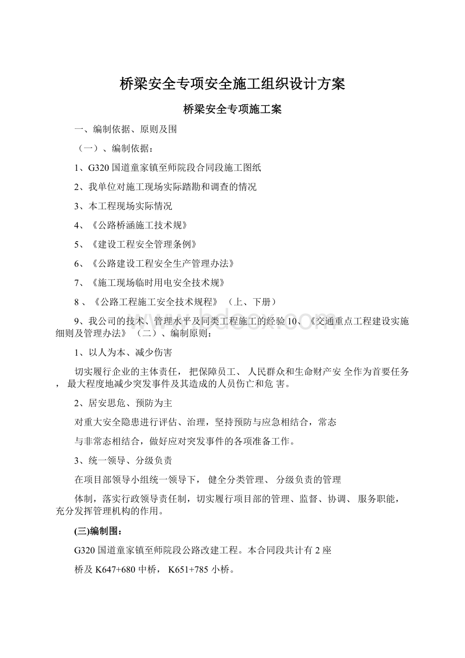 桥梁安全专项安全施工组织设计方案文档格式.docx