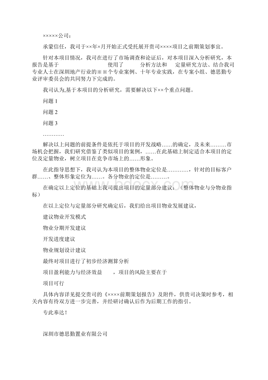 前期策划报告标准模板文档格式.docx_第3页