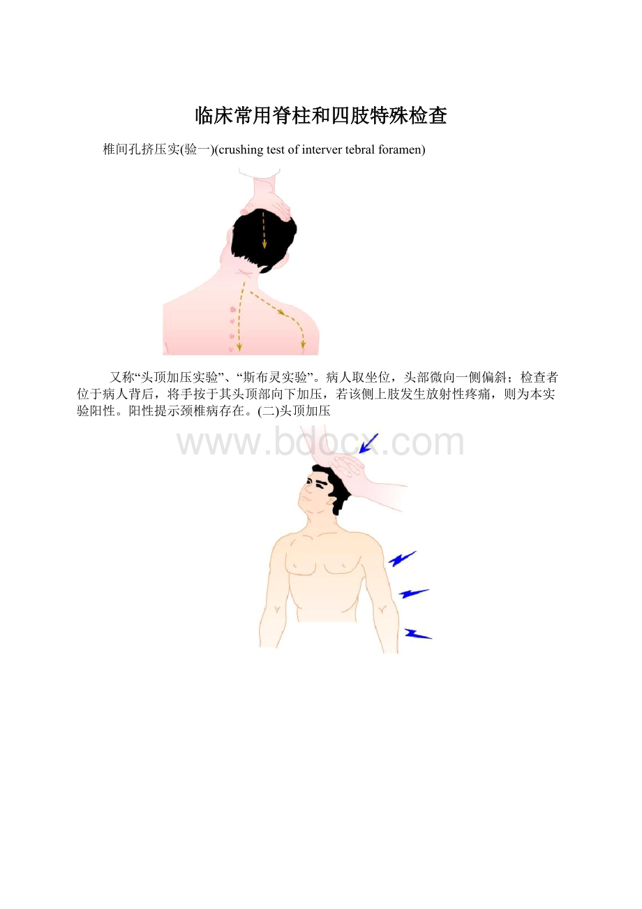 临床常用脊柱和四肢特殊检查Word格式文档下载.docx_第1页