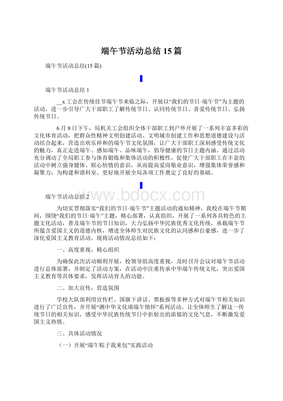 端午节活动总结15篇文档格式.docx