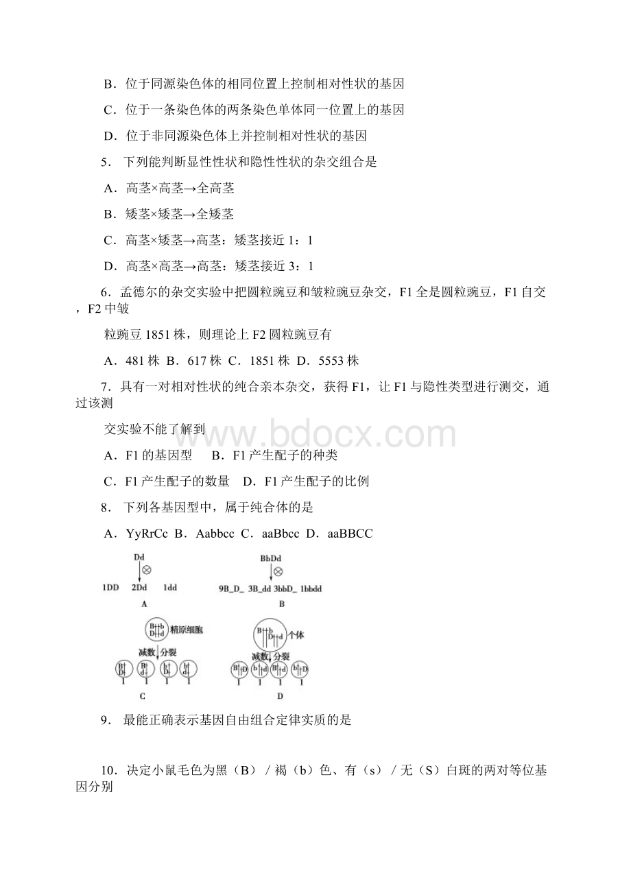 玉田县学年度第二学期期中考试高一生物试题及答案文档格式.docx_第2页