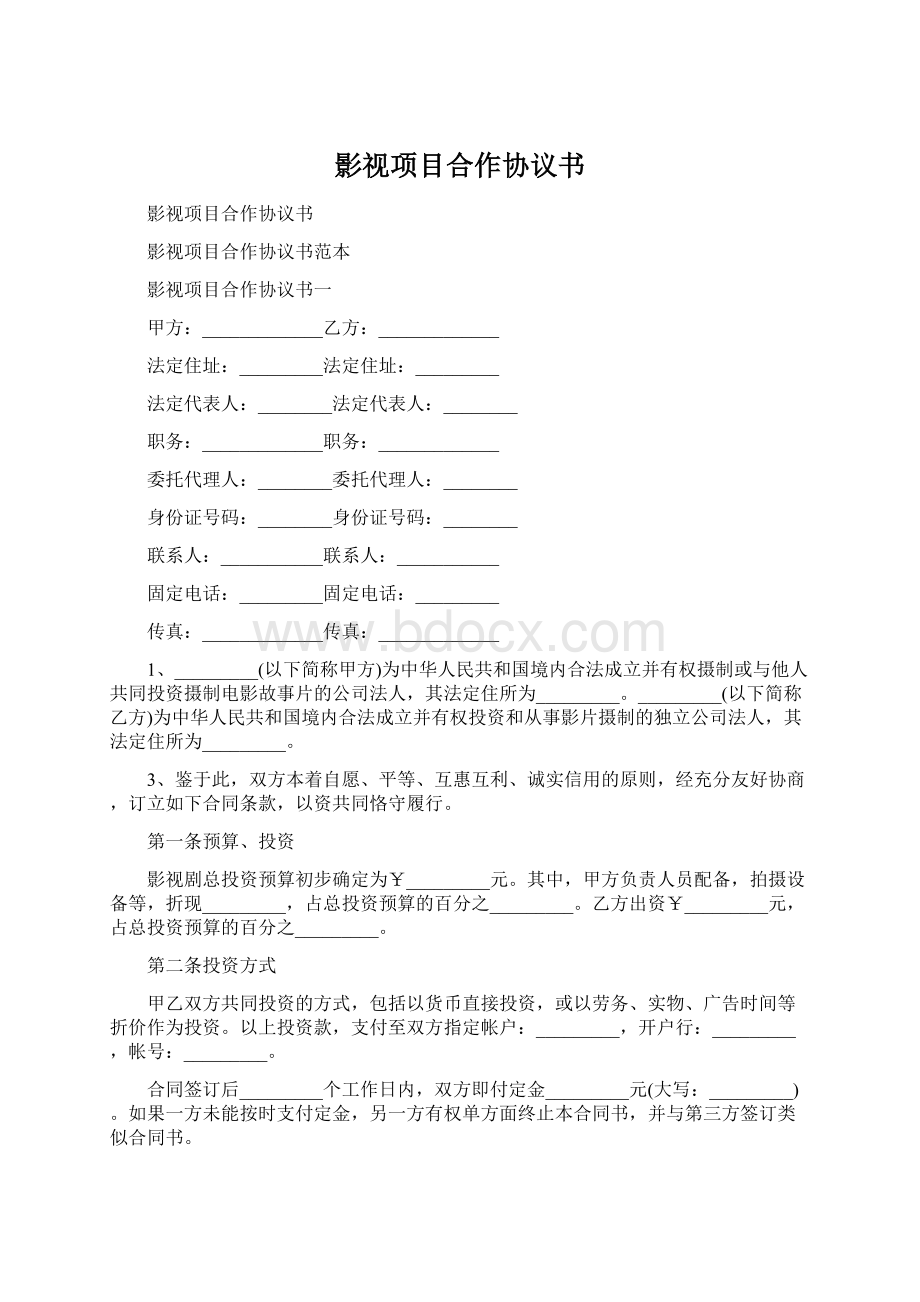 影视项目合作协议书.docx