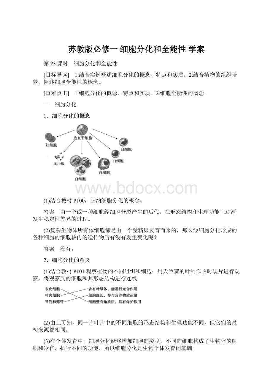 苏教版必修一 细胞分化和全能性 学案.docx_第1页