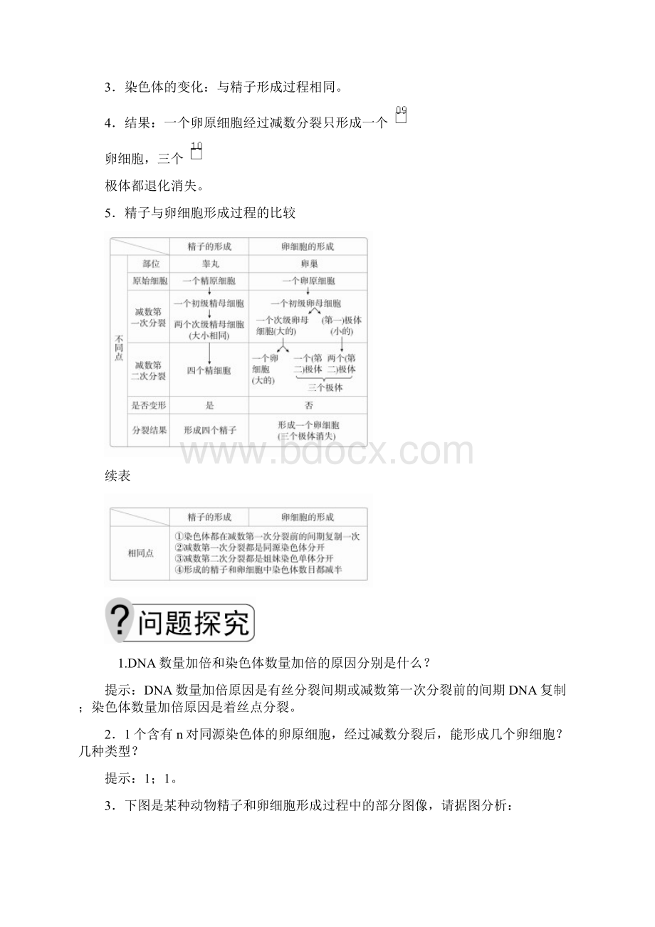 学年人教版必修2第2章第1节第2课时 卵细胞的形成过程减数分裂中染色体和DNA等的变化规律.docx_第2页