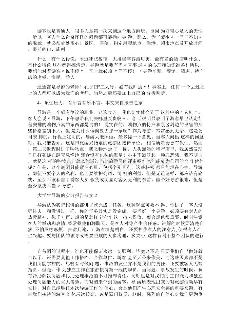 大学生导游的实习报告范文.docx_第3页