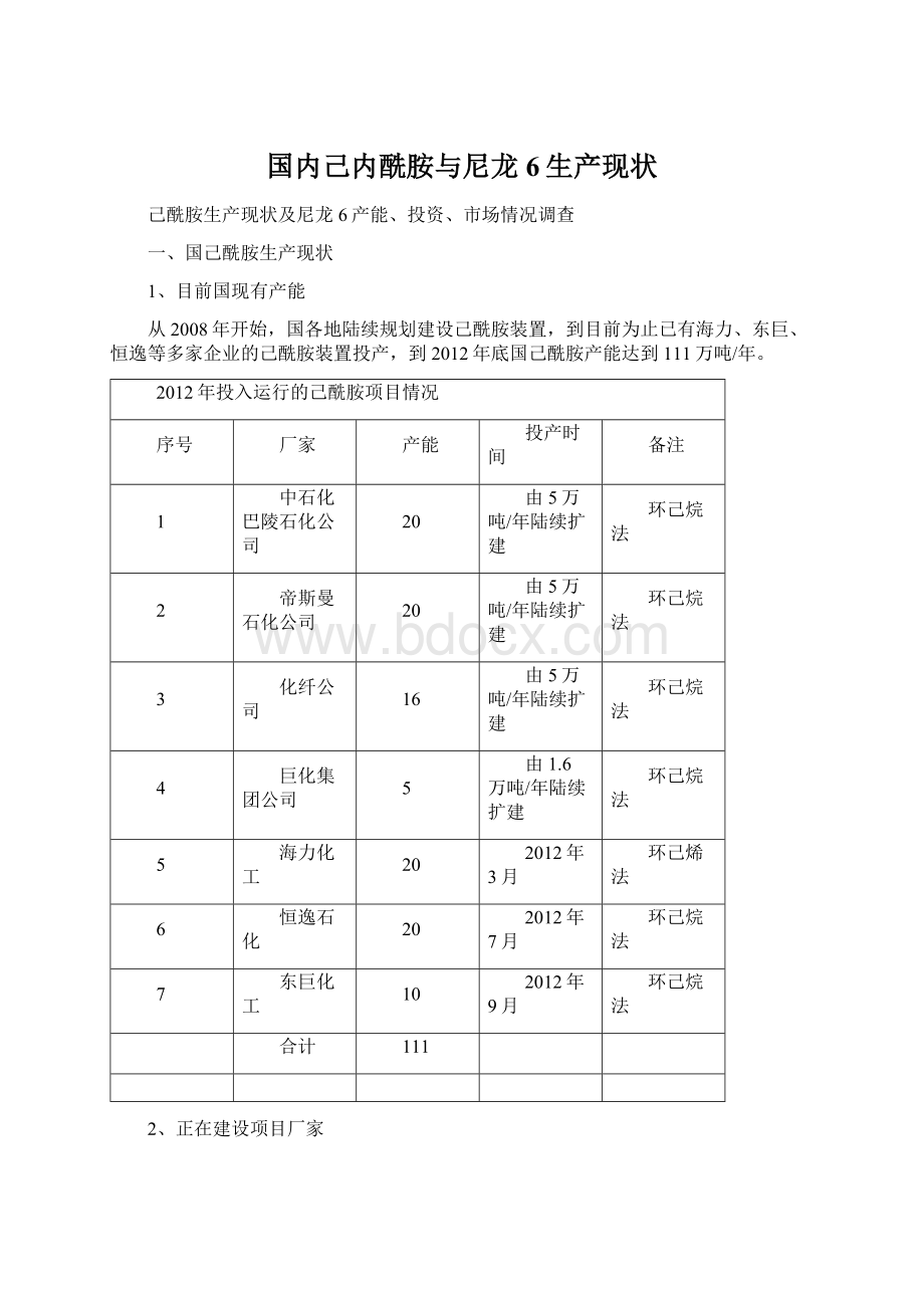 国内己内酰胺与尼龙6生产现状.docx_第1页