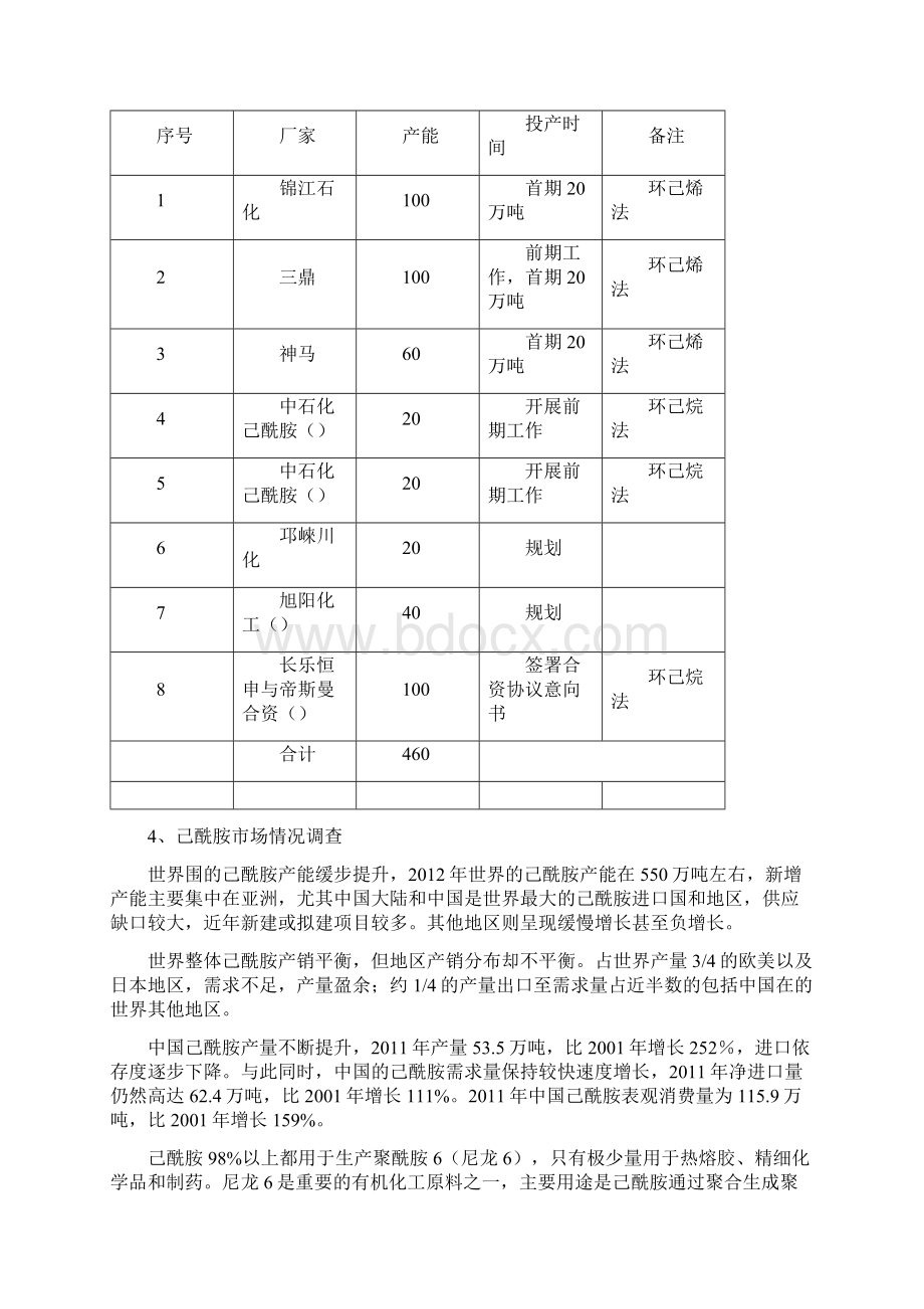 国内己内酰胺与尼龙6生产现状.docx_第3页