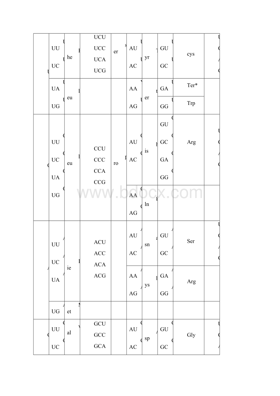 分子遗传试题硕Word文件下载.docx_第2页