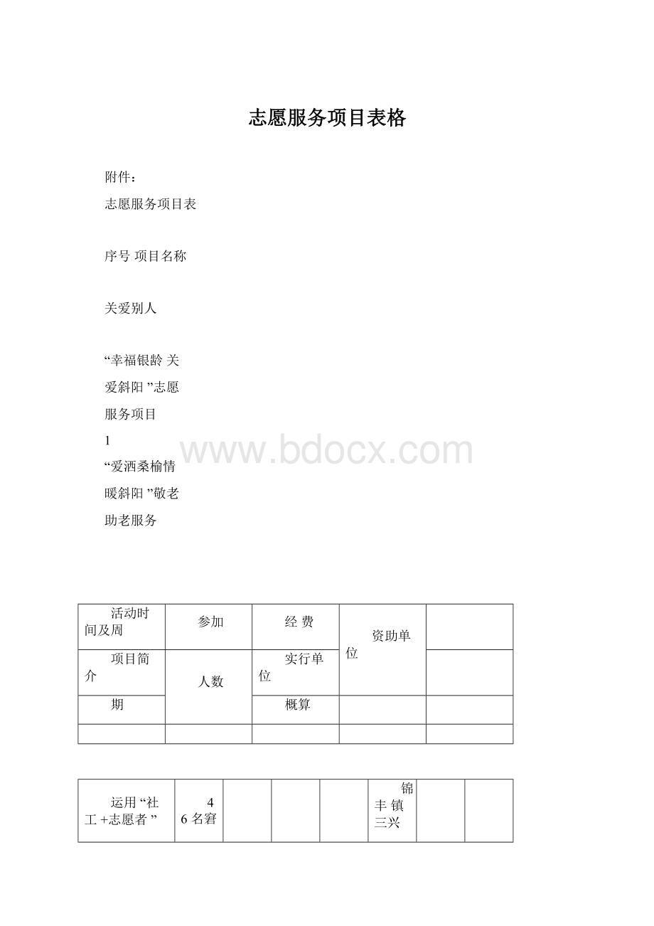 志愿服务项目表格.docx