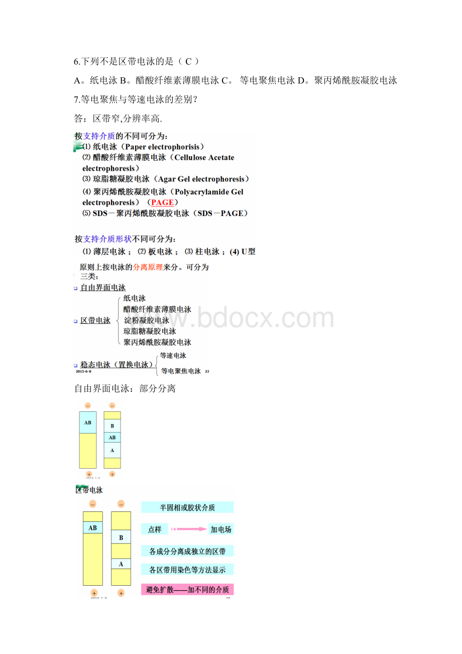 电泳知识总结.docx_第2页