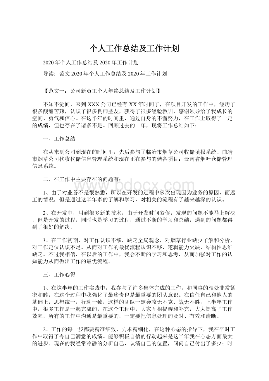 个人工作总结及工作计划.docx