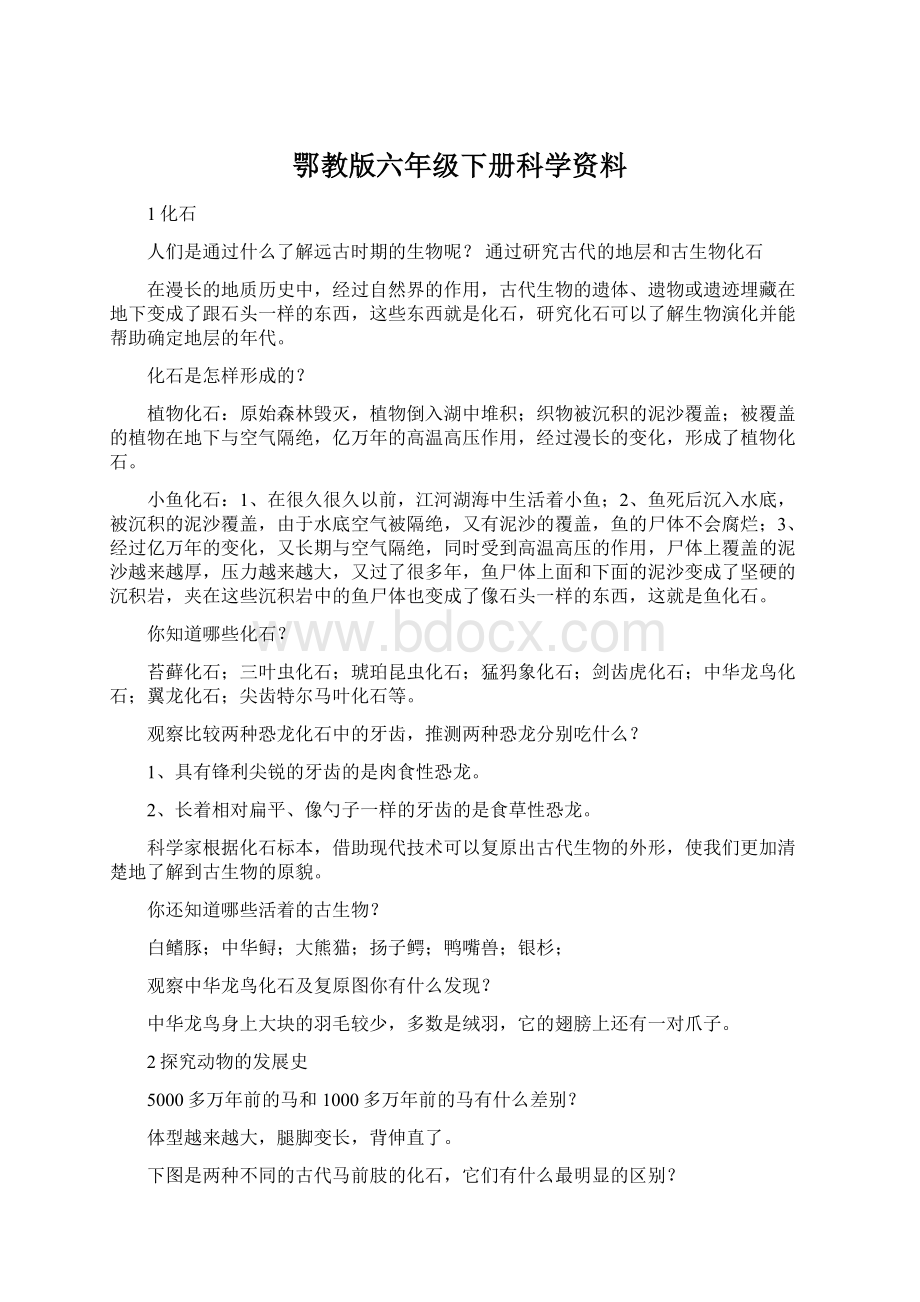 鄂教版六年级下册科学资料.docx_第1页