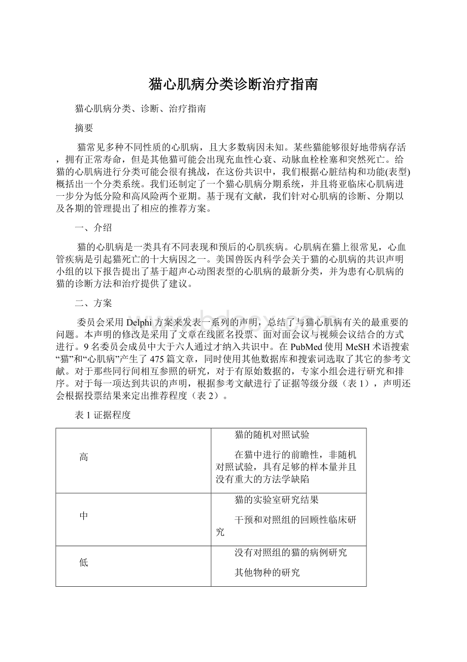 猫心肌病分类诊断治疗指南.docx