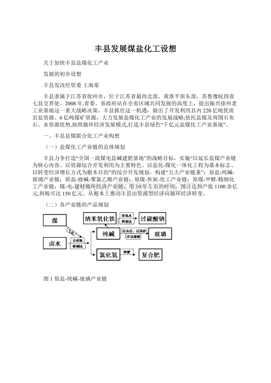 丰县发展煤盐化工设想.docx_第1页