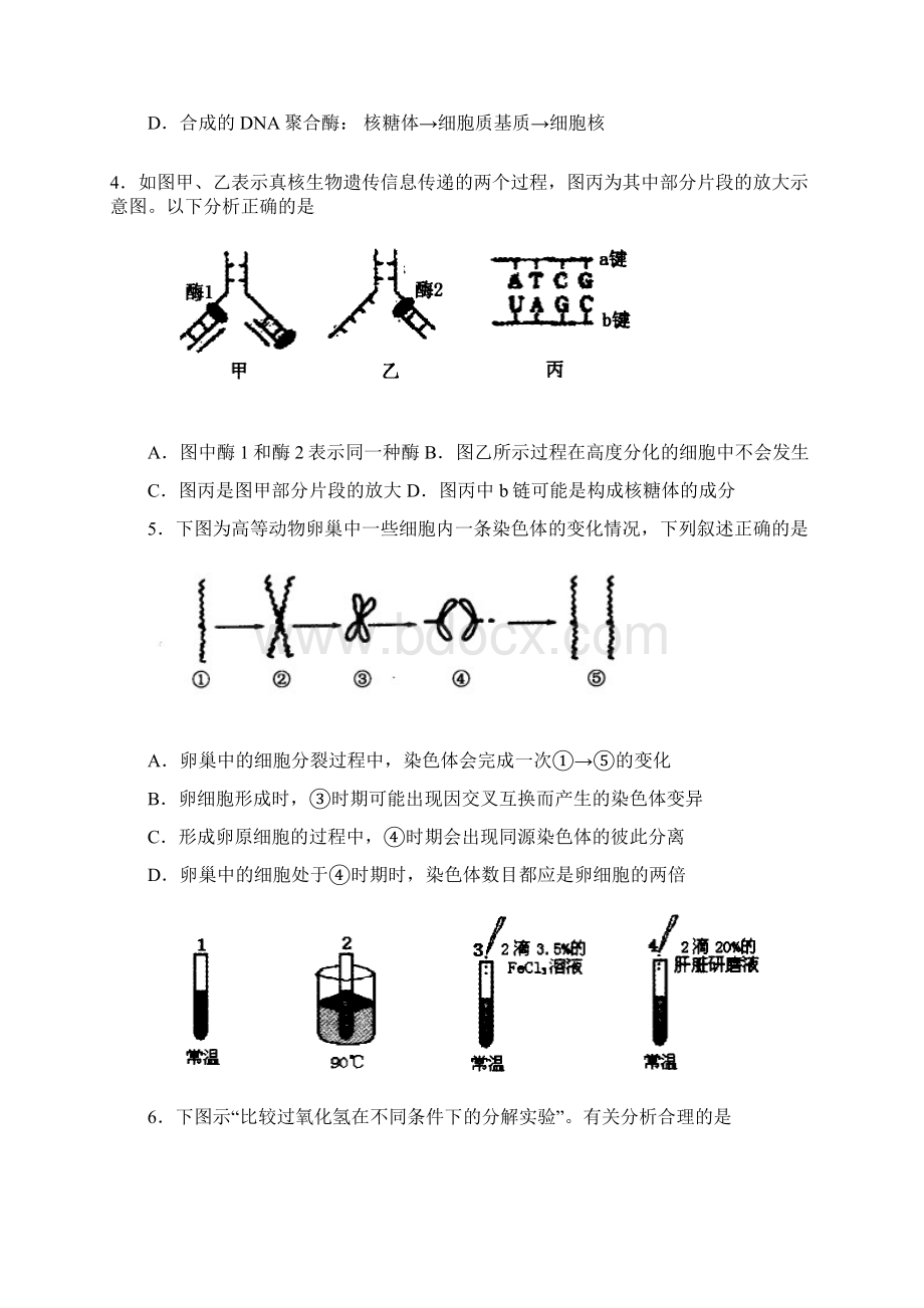 寿光中学理综23Word格式文档下载.docx_第2页