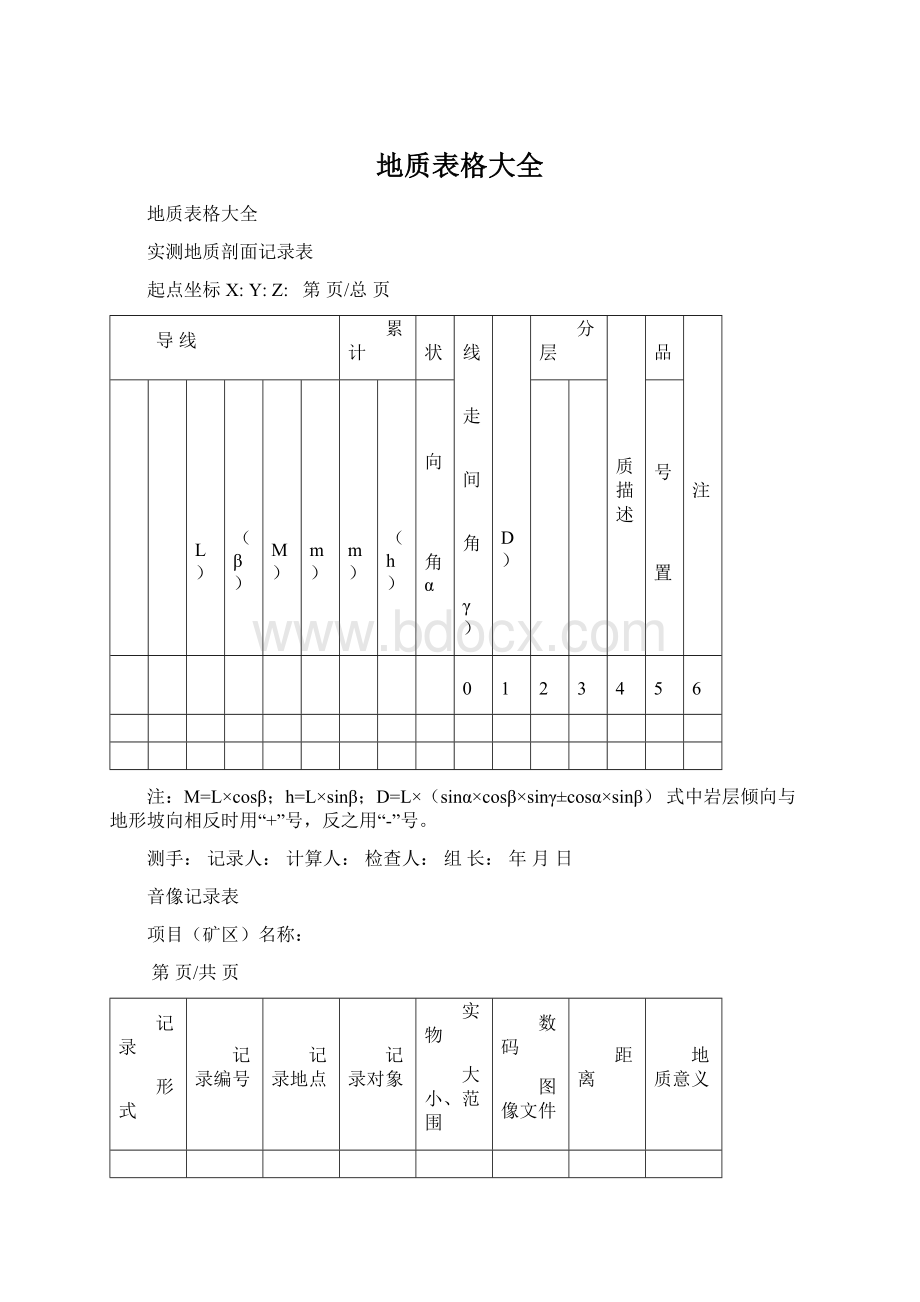 地质表格大全.docx_第1页