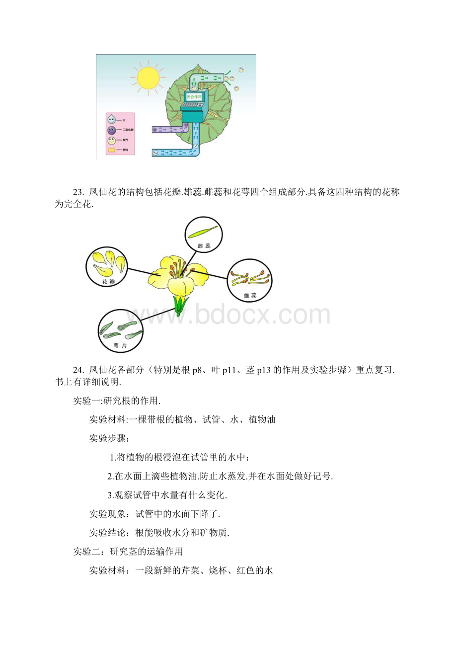 教科版小学三年级下册科学每个单元知识点整理 2.docx_第3页