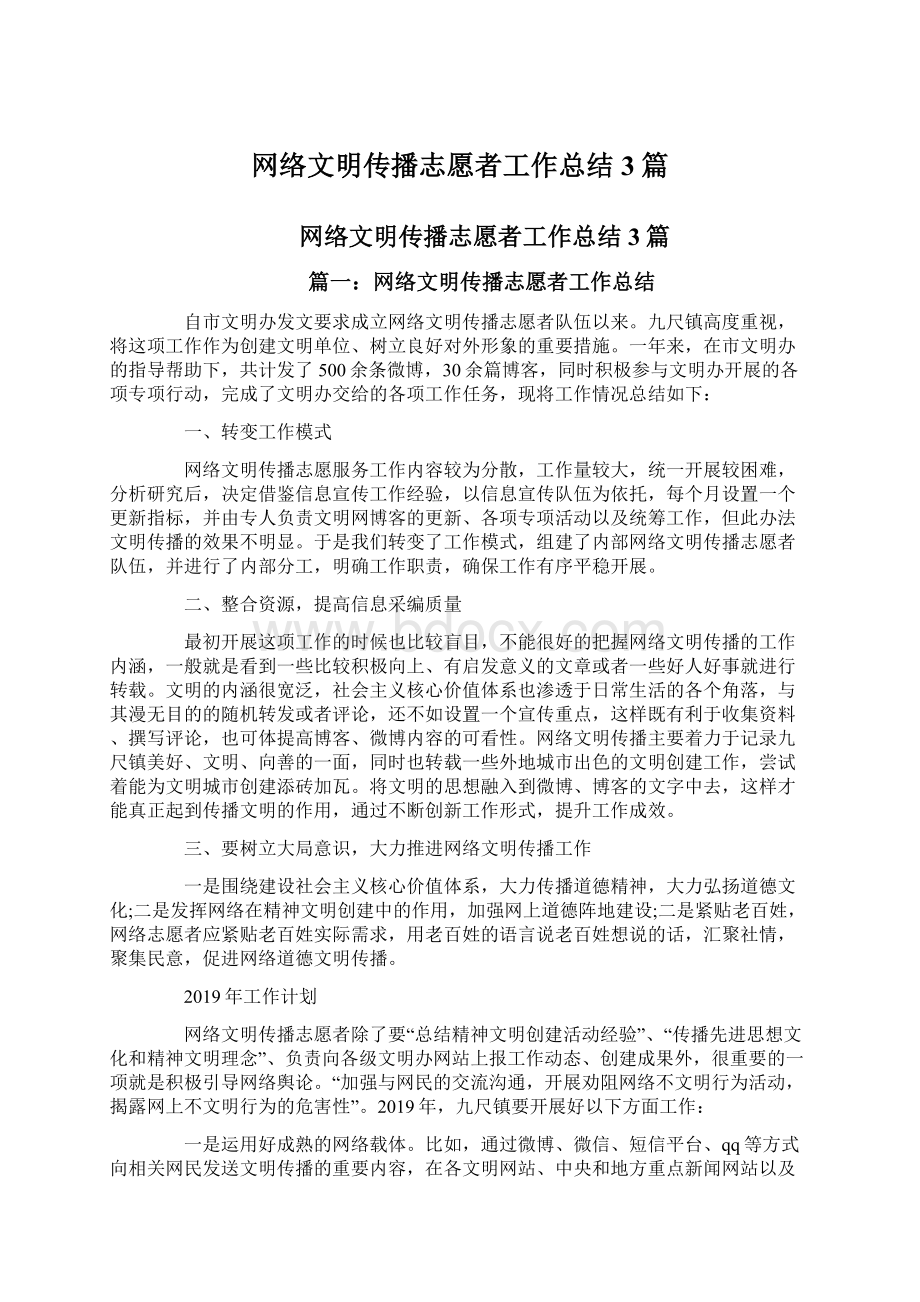 网络文明传播志愿者工作总结3篇.docx