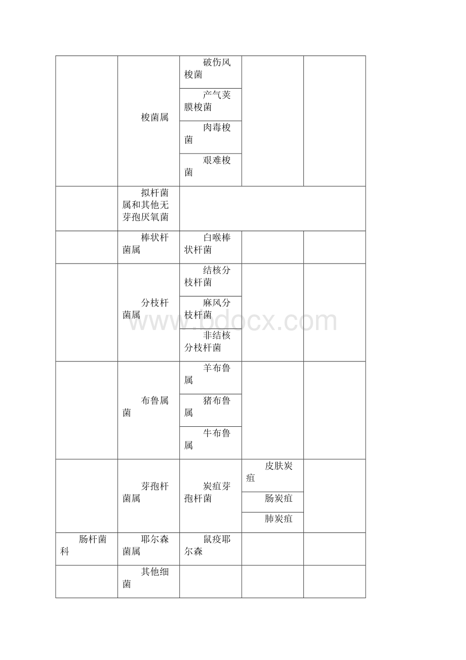 微生物细菌各论.docx_第3页