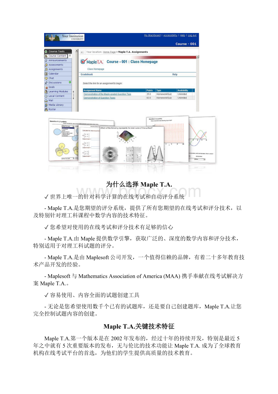 在线考试和智能评分系统MapleTA.docx_第2页