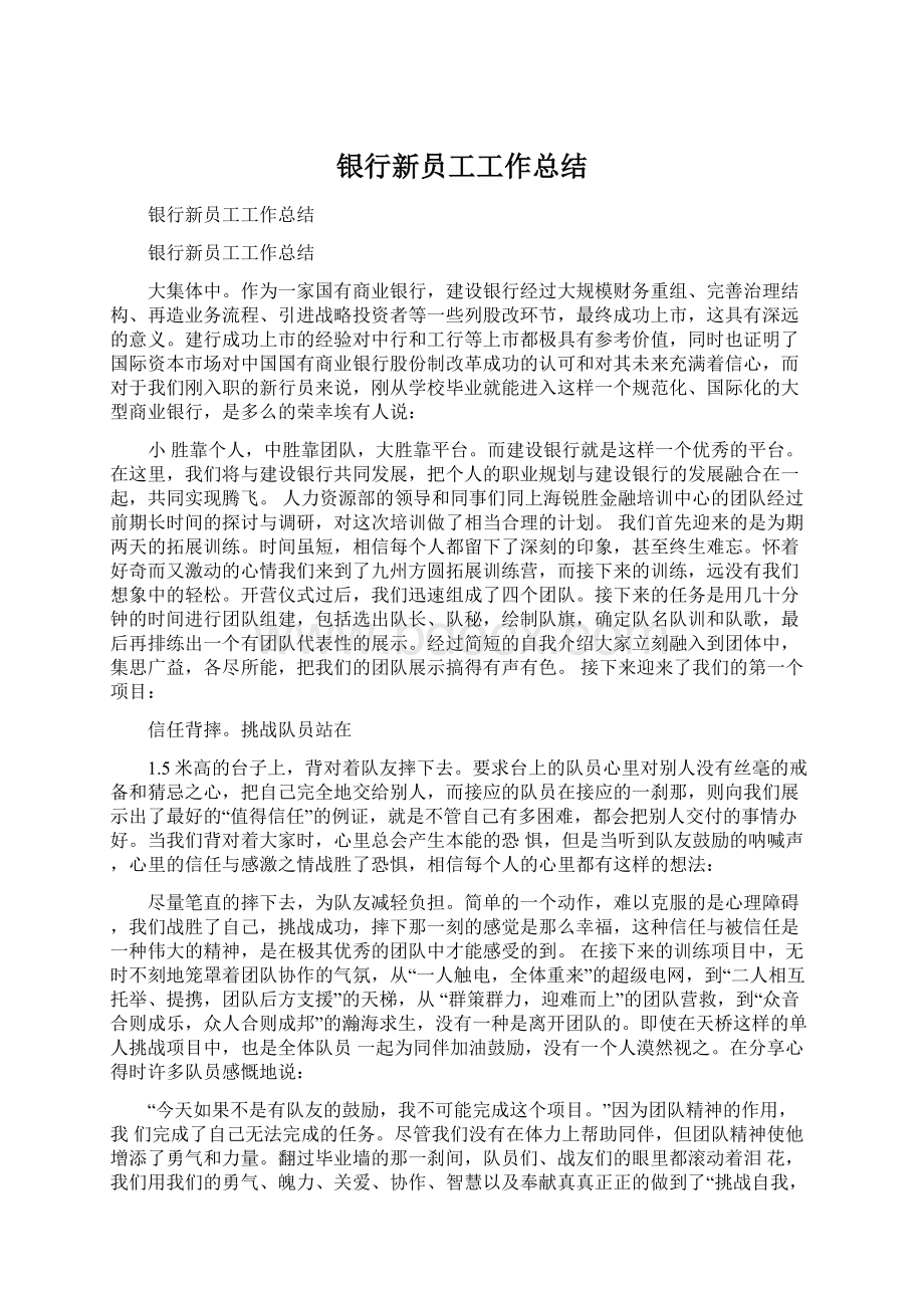 银行新员工工作总结.docx