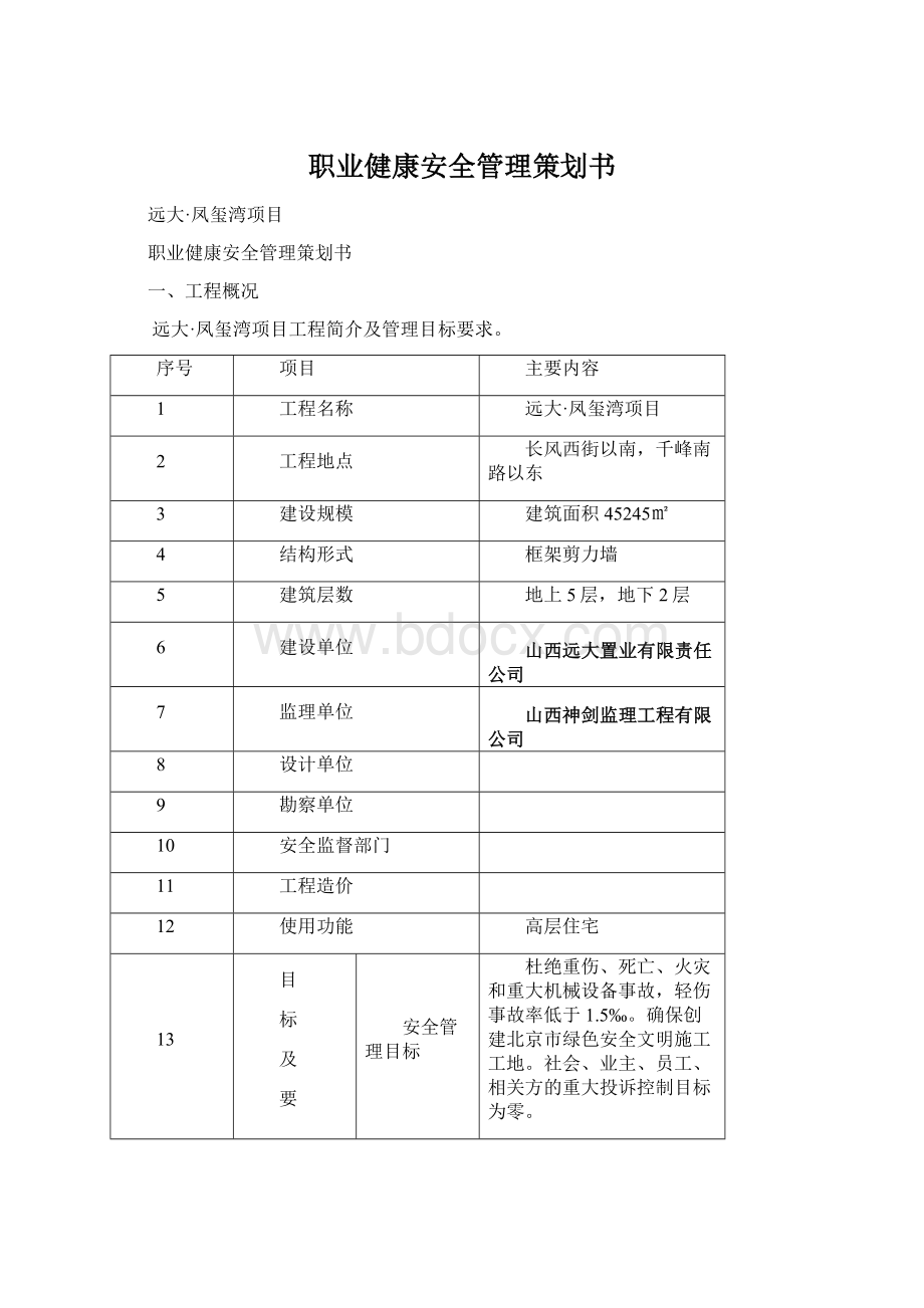 职业健康安全管理策划书.docx_第1页