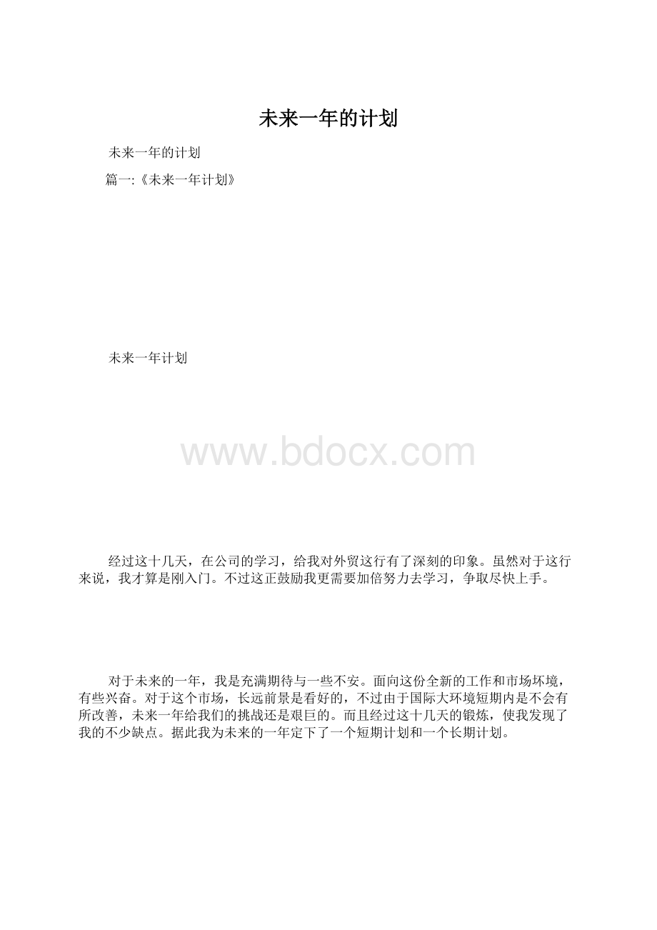 未来一年的计划.docx