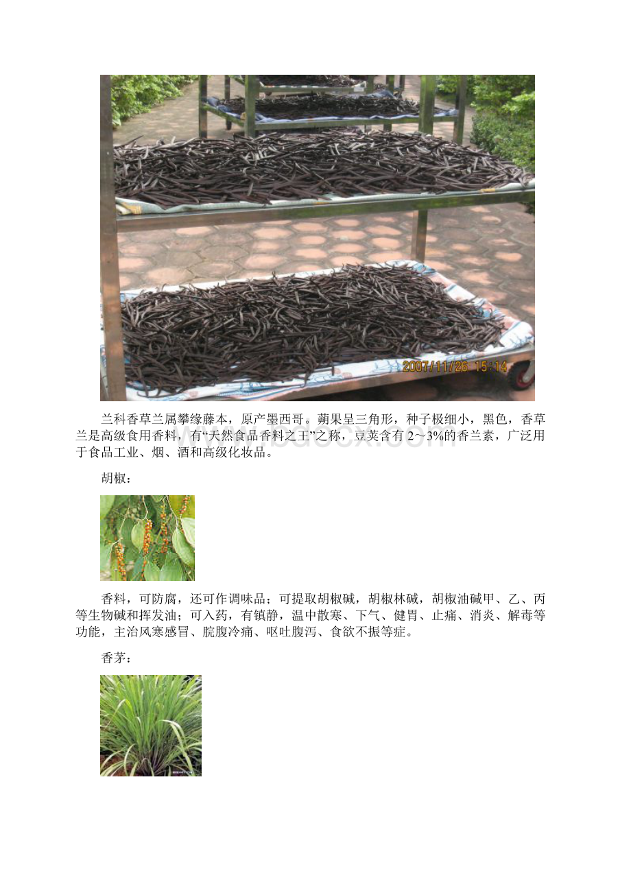 探究兴隆植物园植物种类概况.docx_第2页