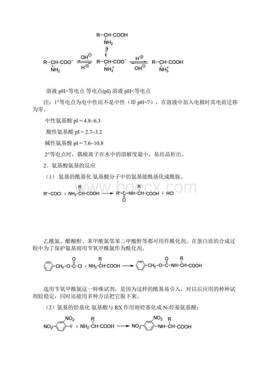 19第十九章氨基酸 蛋白质 核酸.docx_第3页