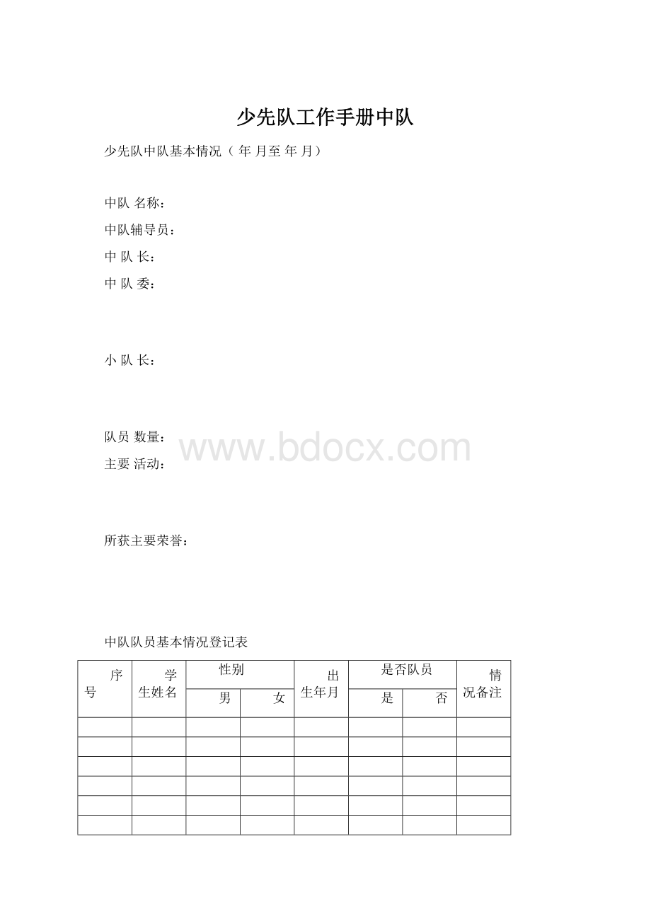 少先队工作手册中队Word文档格式.docx