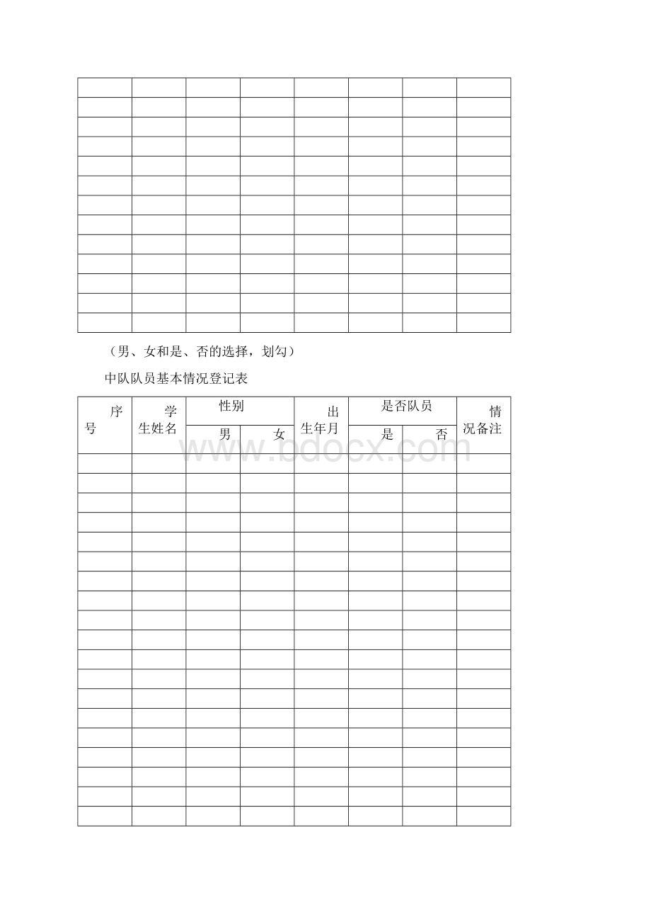 少先队工作手册中队.docx_第2页