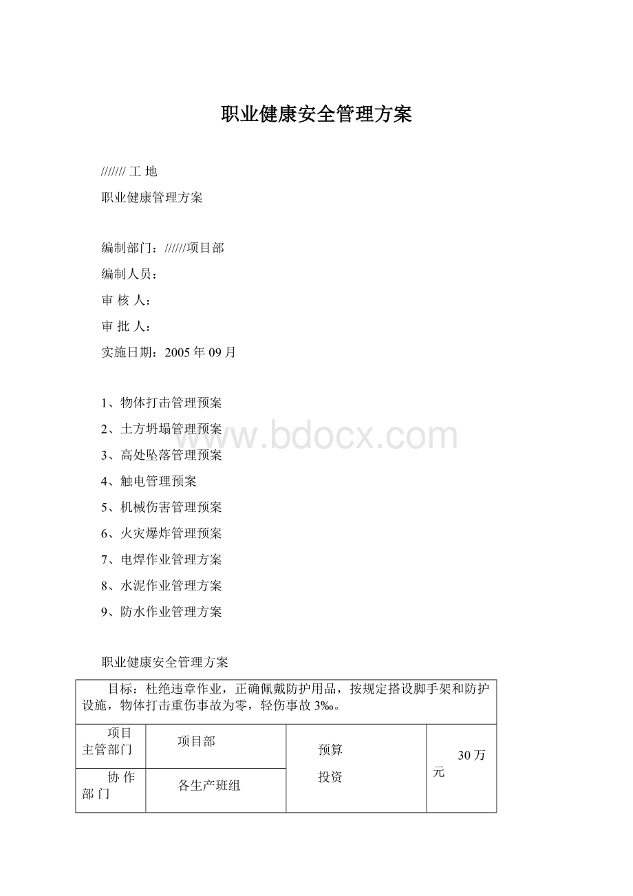 职业健康安全管理方案.docx_第1页