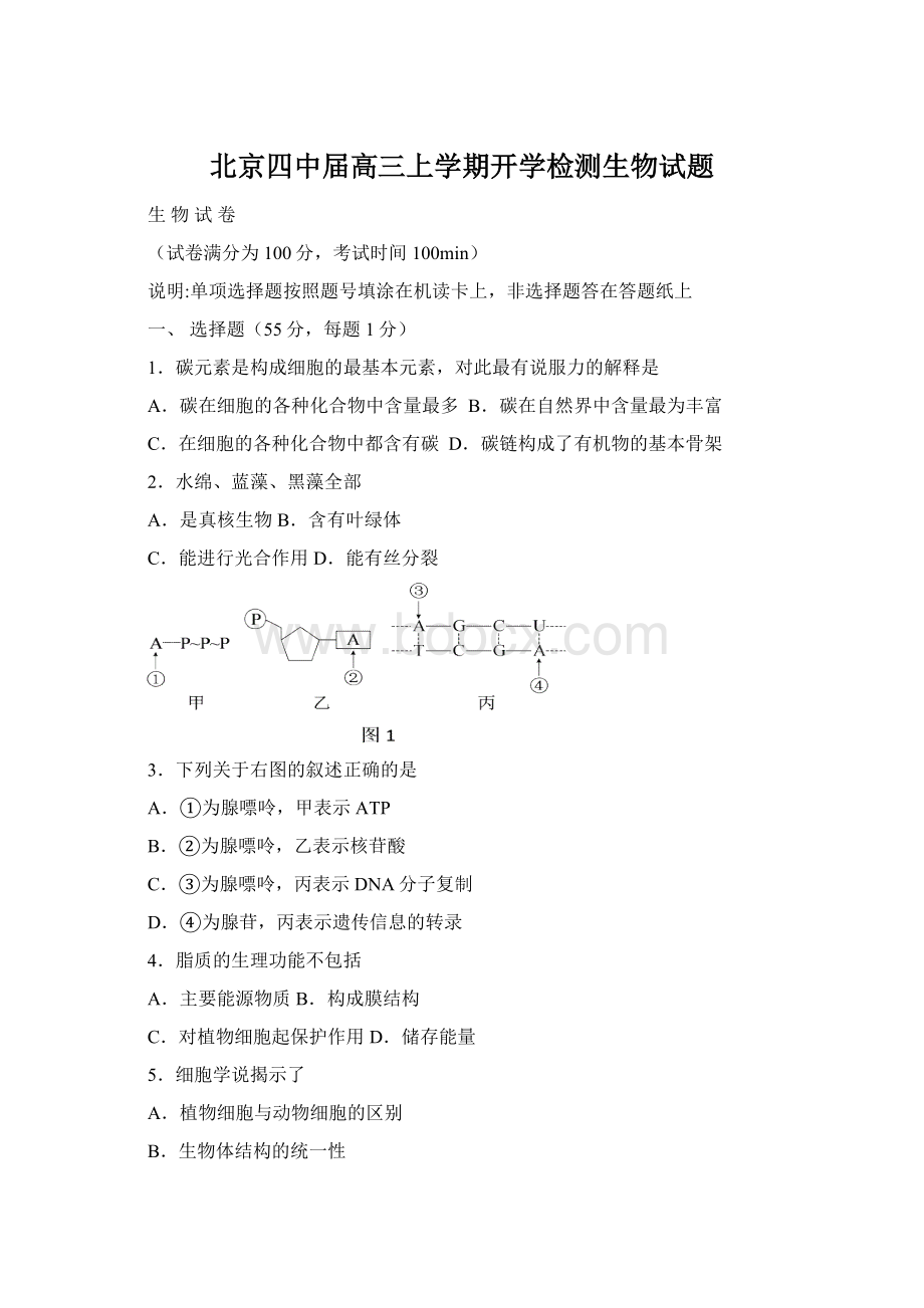 北京四中届高三上学期开学检测生物试题.docx_第1页