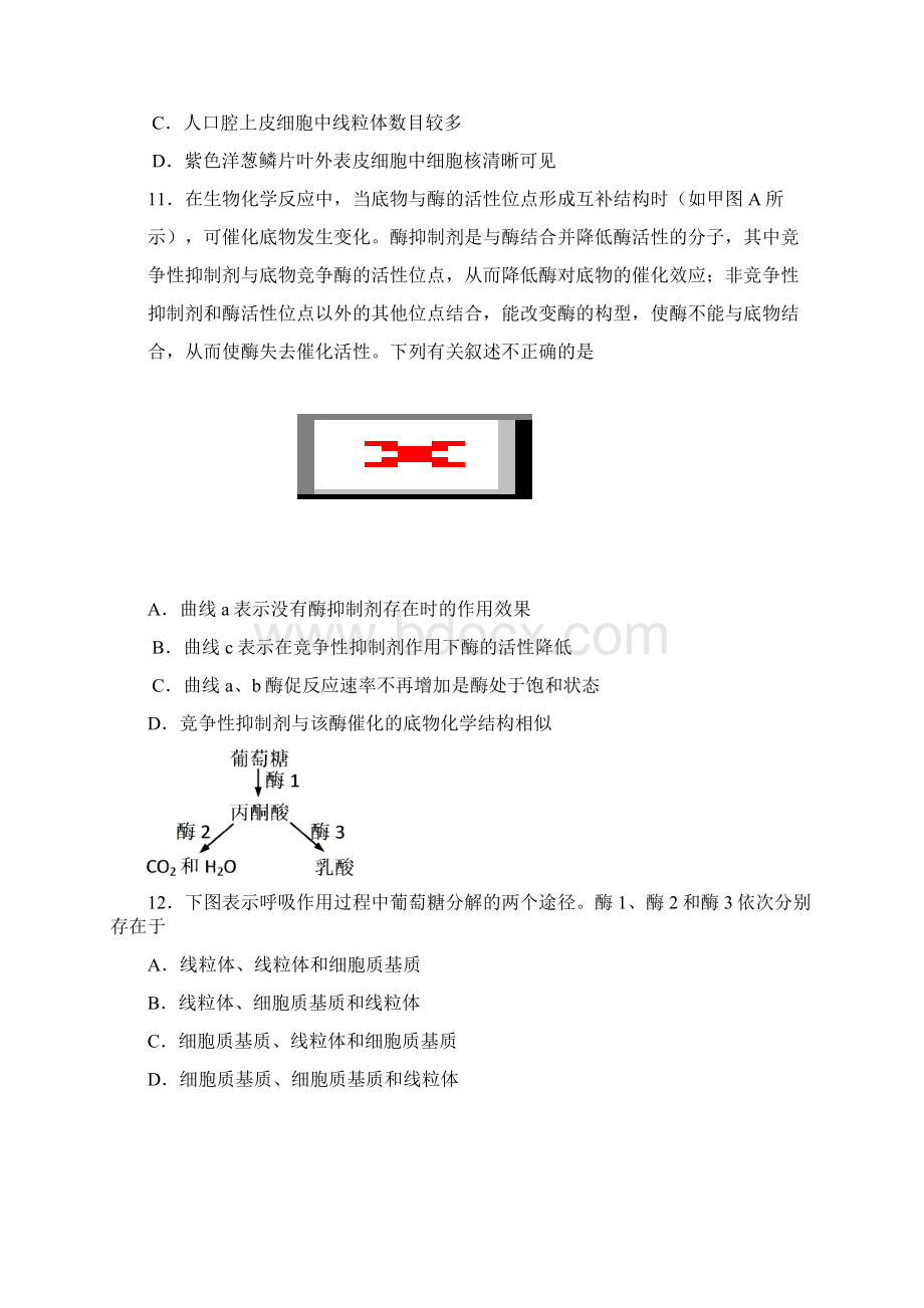 北京四中届高三上学期开学检测生物试题.docx_第3页