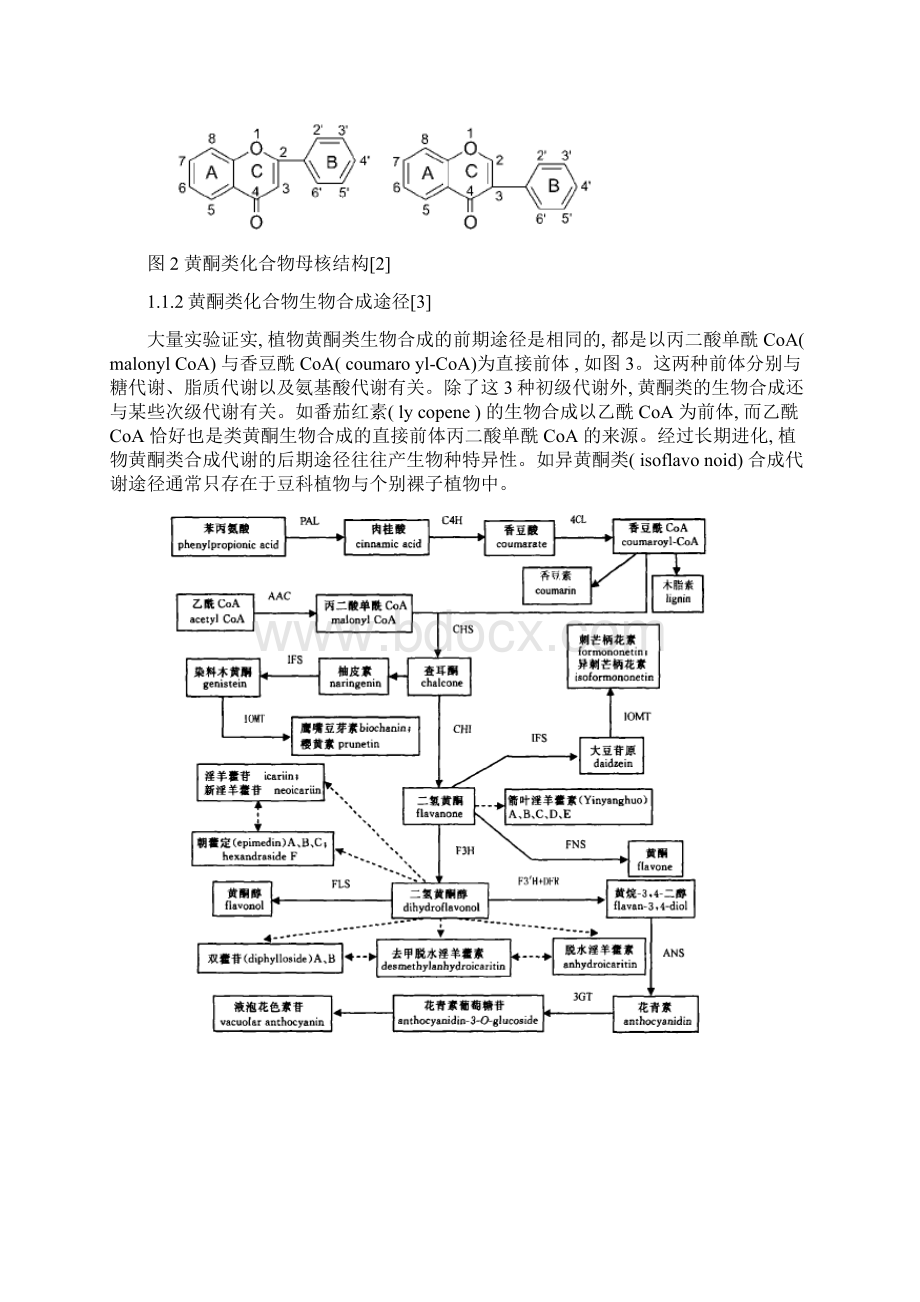 药用植物次生代谢工程研究进展Word格式.docx_第3页