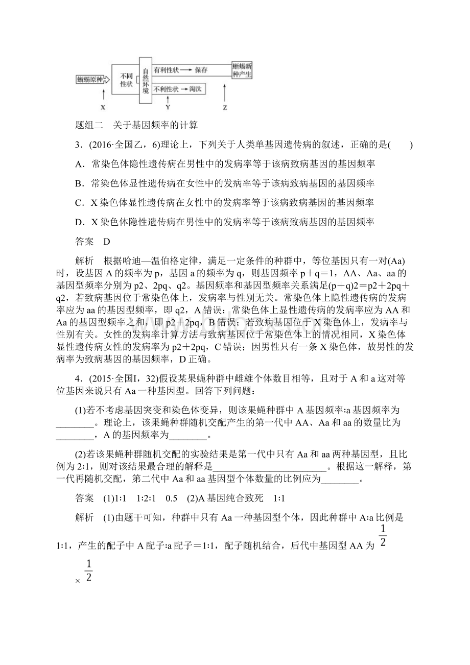 高考生物考前3个月专题复习 专题6 变异 育种和进化 考点20 理解现代生物进化理论并掌握相关计算.docx_第2页