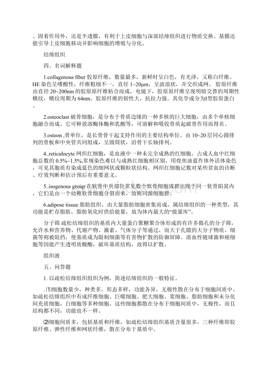 组胚名词解释及简答Word格式文档下载.docx_第3页