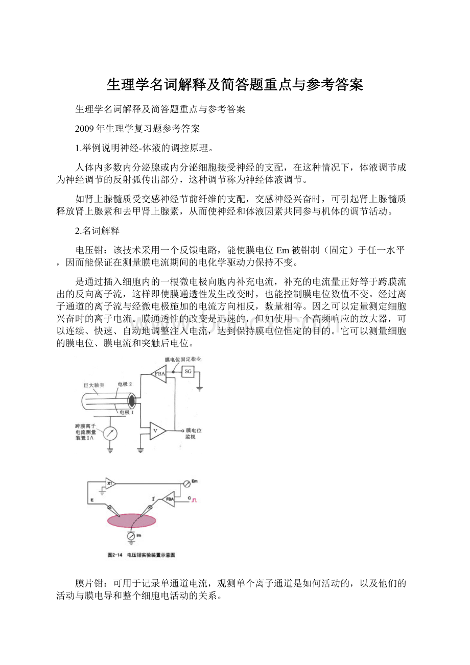 生理学名词解释及简答题重点与参考答案.docx_第1页