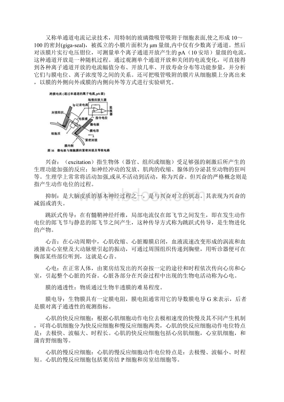 生理学名词解释及简答题重点与参考答案.docx_第2页