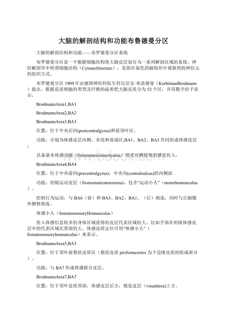 大脑的解剖结构和功能布鲁德曼分区Word格式.docx