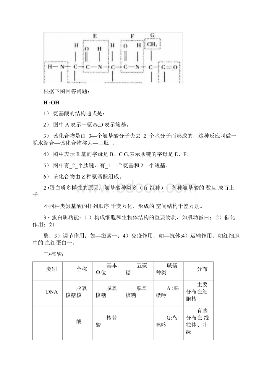 高中生物会考复习考试提纲文档格式.docx_第2页