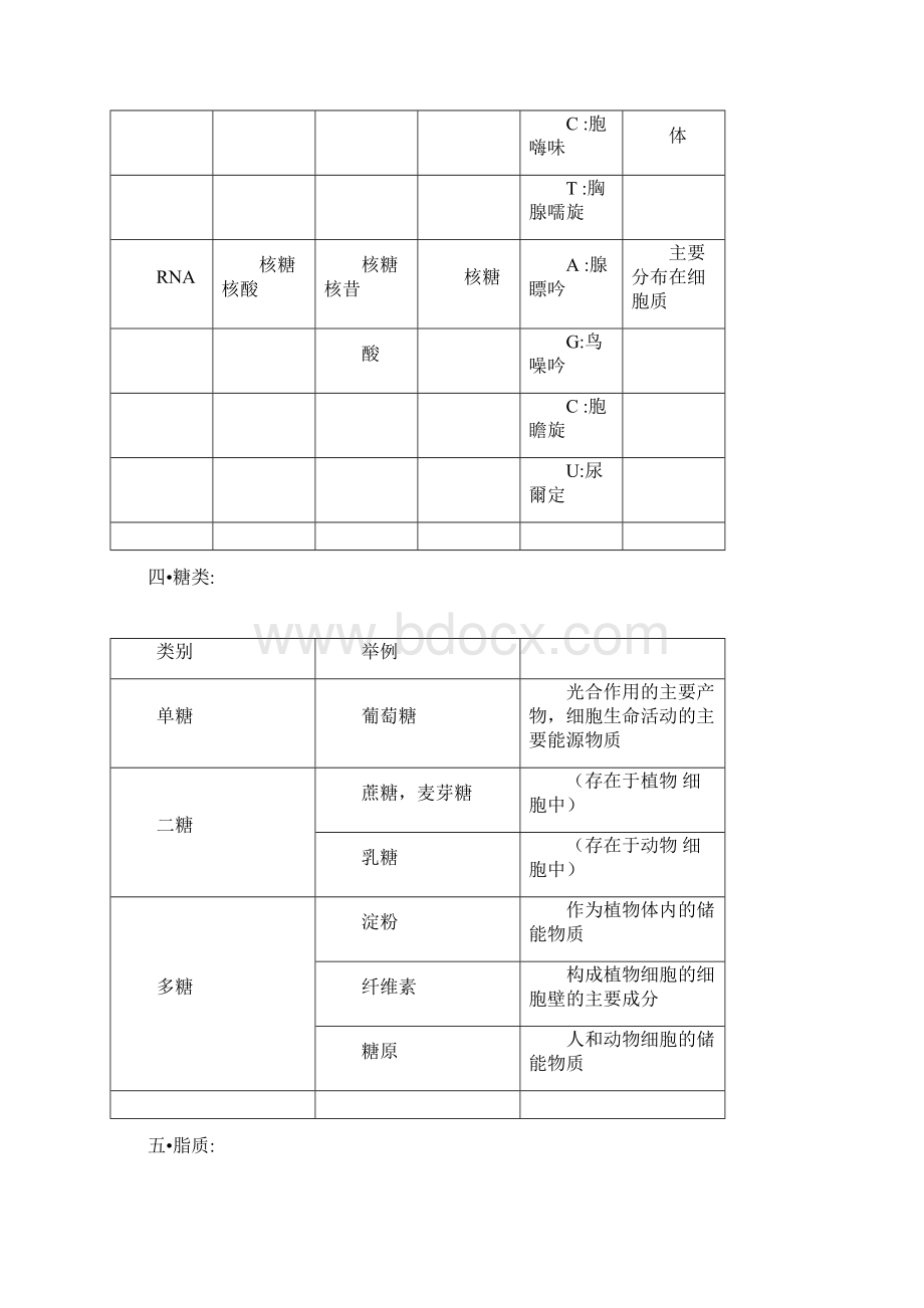 高中生物会考复习考试提纲文档格式.docx_第3页